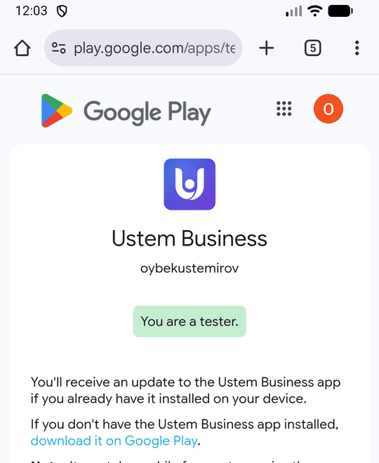 Xuddi shu sahifa bosishdan keyin: Ustem Business nomi ostida yashil «You are a tester.» belgisi.